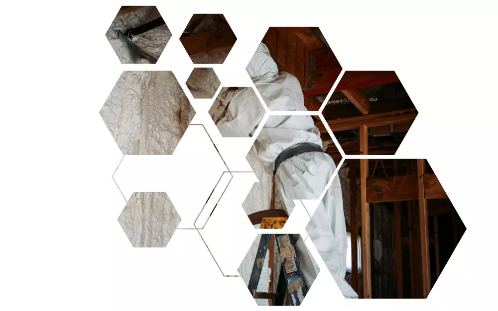 Pur Centrum Zielona Góra